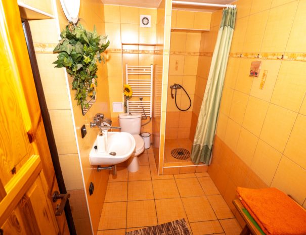 Apartman-Banikov-kupelna