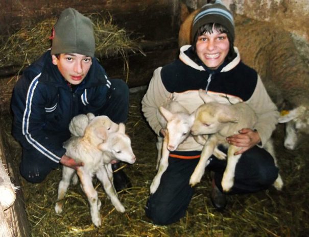 ubytovanie-pre-rodiny-s-detmi-jahniatka-min