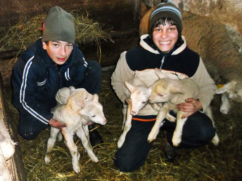 ubytovanie-pre-rodiny-s-detmi-jahniatka-min